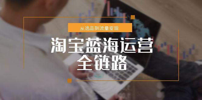 淘宝蓝海运营全链路，从选品到流量变现，小类目突围完整方案-云长聊项目
