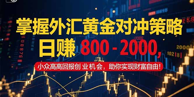 掌握外汇黄金对冲策略，日赚 800 – 2000，小众高回报创业机会，助你实…-云长聊项目