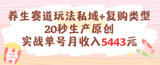 养生赛道玩法私域+复购类型，20秒生产原创实战单号月收入5k+-云长聊项目