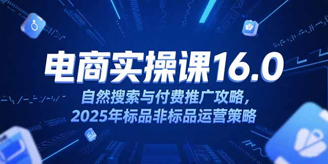 淘宝电商运营课16.0，自然搜索与付费推广攻略，2025年标品非标品运营策略-云长聊项目