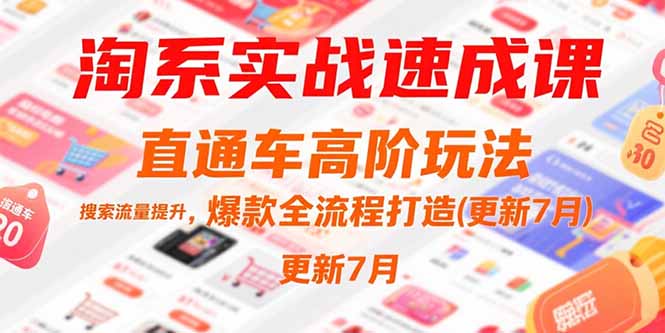 淘系实战速成课，直通车高阶玩法，搜索流量提升，爆款全流程打造(更新7月-云长聊项目
