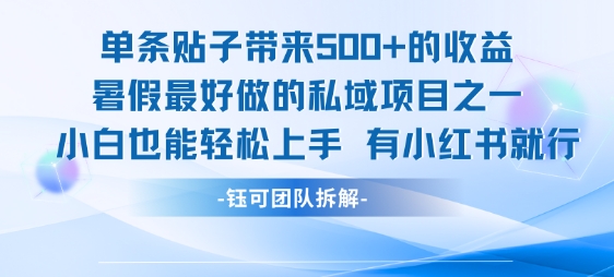 单条贴子带来5张的收益，暑假最好做的私域项目之一，小白也能轻松上手，有小红书就行-云长聊项目